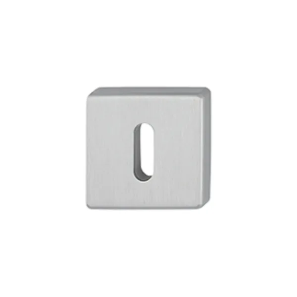 rozeta-hoppe-843-kvs-f31-1-aluminium-kolor-stali-szlachetnej-klucz.webp