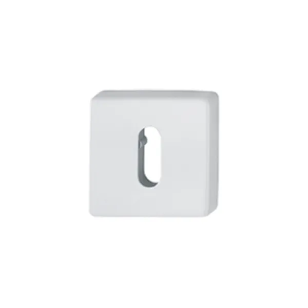 rozeta-hoppe-843-kvs-f9016m-aluminium-bialy-mat-klucz.webp